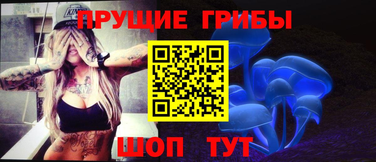 Галлюциногенные грибы прущие грибы  Вход с VPN  Ростов Великий 